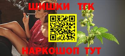стаф Тверь