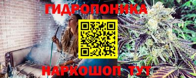 стафф Туймазы