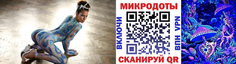 мега как зайти  Тында  Псилоцибиновые грибы Cubensis  где купить  