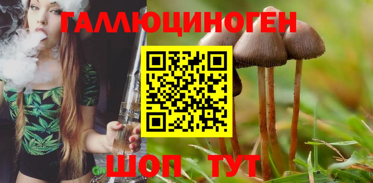 Галлюциногенные грибы GOLDEN TEACHER Тында